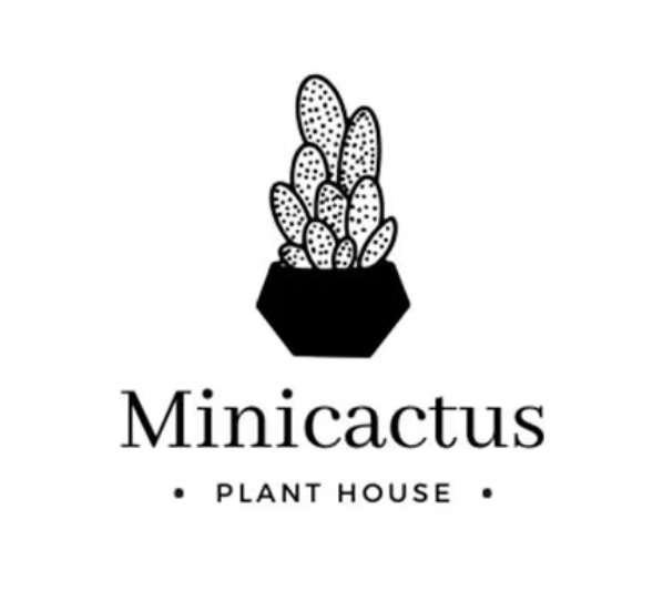 Logo Designs- Deluxe